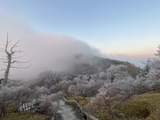 正木峠から見た霧氷
