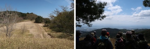 山頂付近には草原と阪神間が見渡せる眺望があります