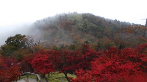 正木峠付近の紅葉