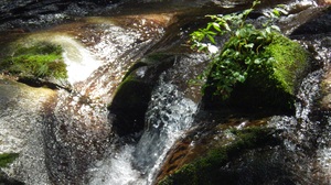 天川村の洞川かじか滝の付近の風景