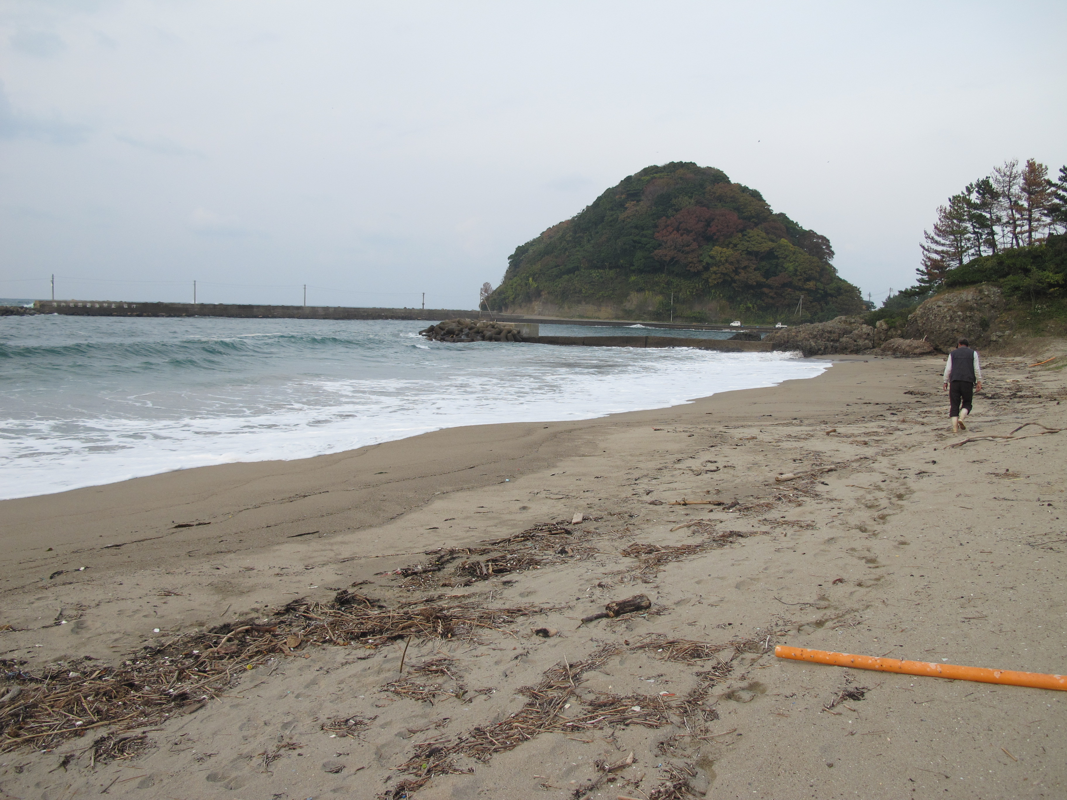 アクティブ レンジャー日記 近畿地区 山陰海岸国立公園 竹野