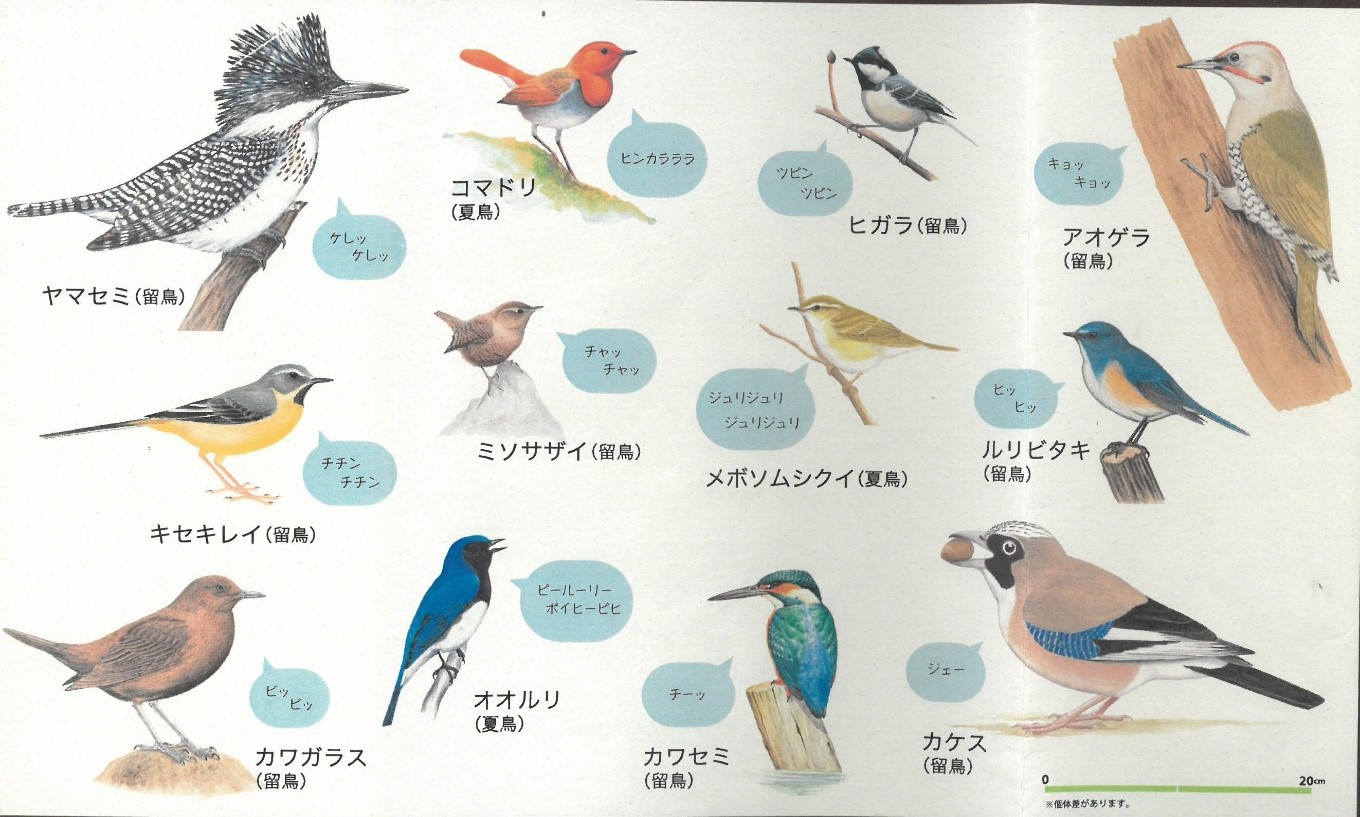 鳥獣保護区の制札の点検 | 近畿地方環境事務所 | 環境省