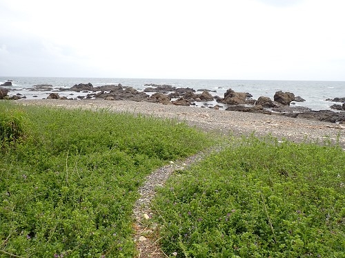 じごくの浜