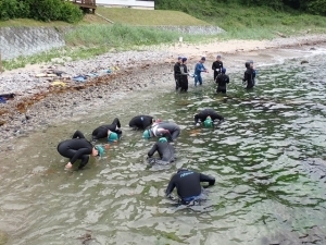 浅瀬に入る