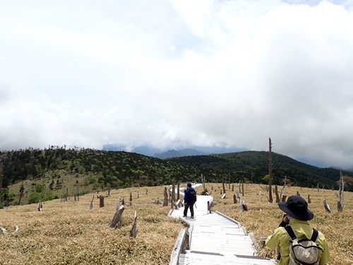 正木峠の風景
