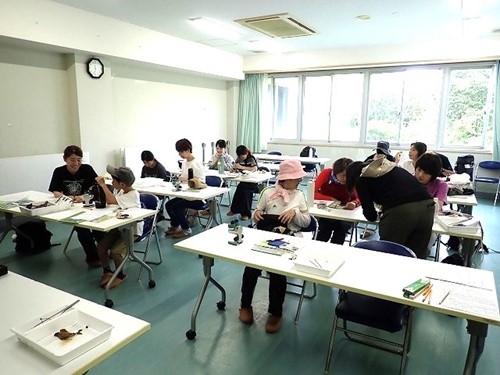 顕微鏡で観察中