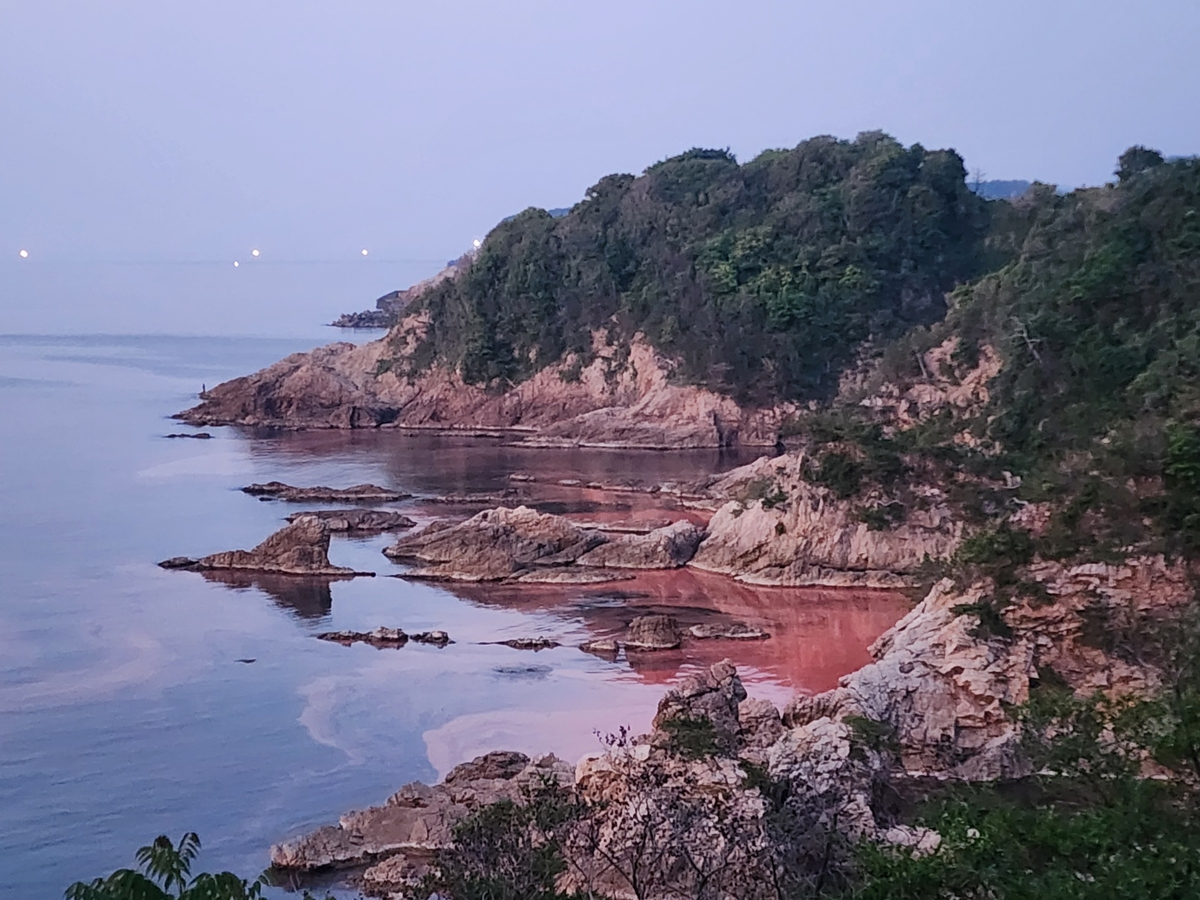 城原海岸の赤潮