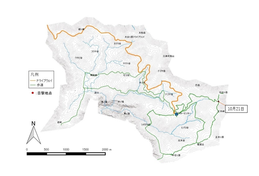 1021大台ヶ原地区ツキノワグマ目撃一途