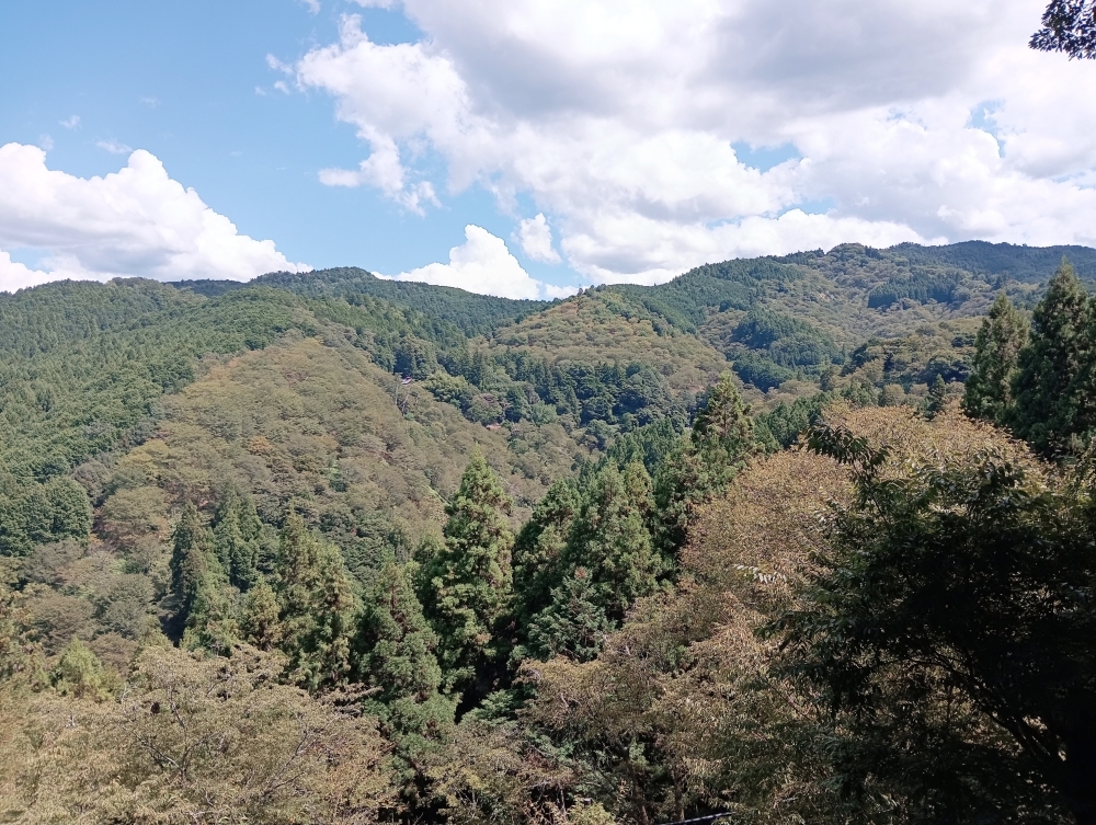 夏の吉野山