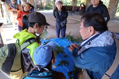 植物の説明を講師から受ける子どもとスタッフ