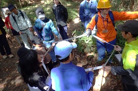 天然スギの幹の大きさ（350cm）を実際に紐をつかって体験