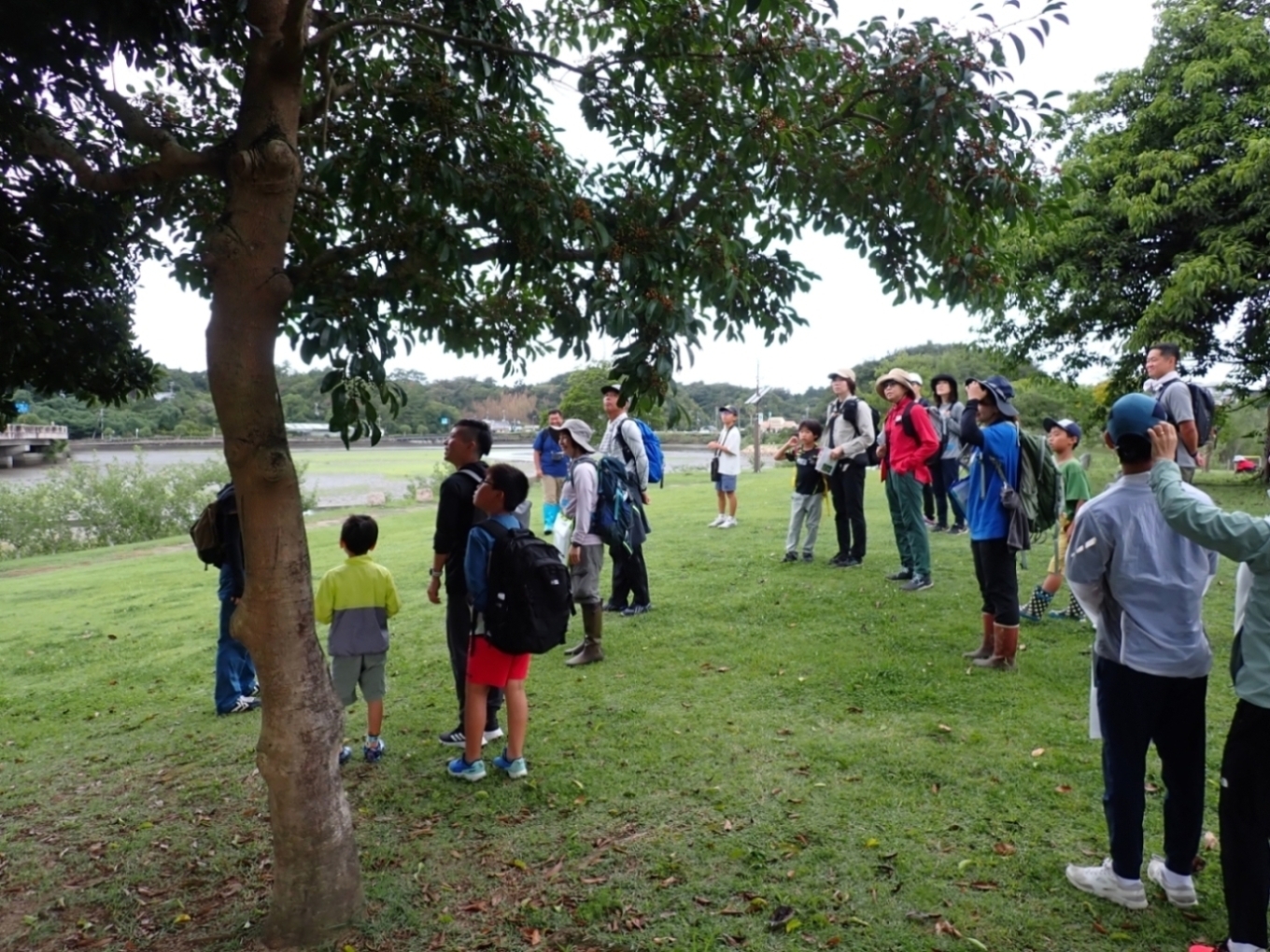 観察会スタート