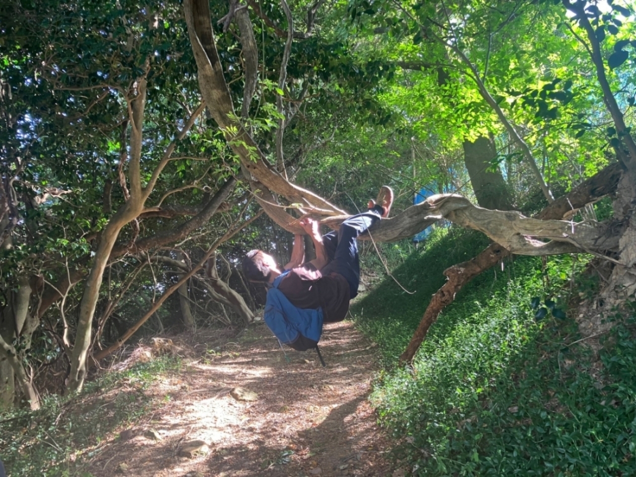 木陰でツル遊び