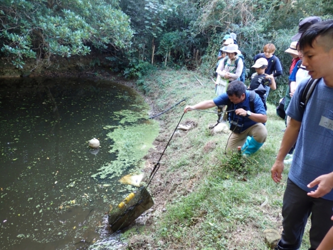 池に仕掛けられている罠