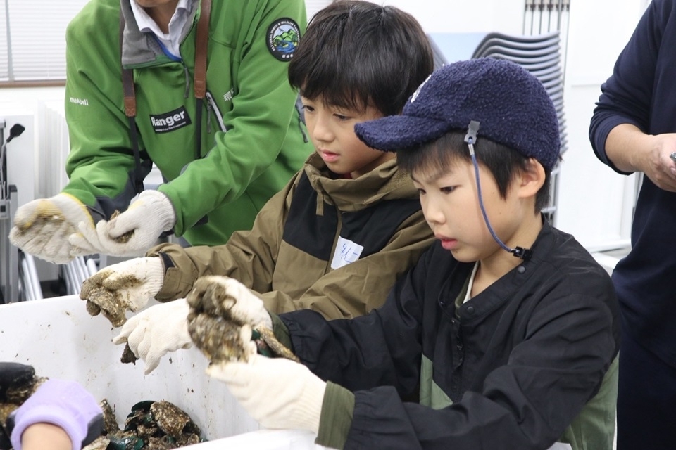 牡蠣をむく体験をしている子ども達