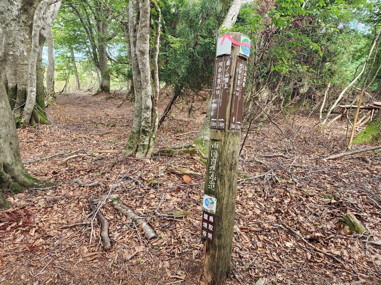 河合谷コースの合流点