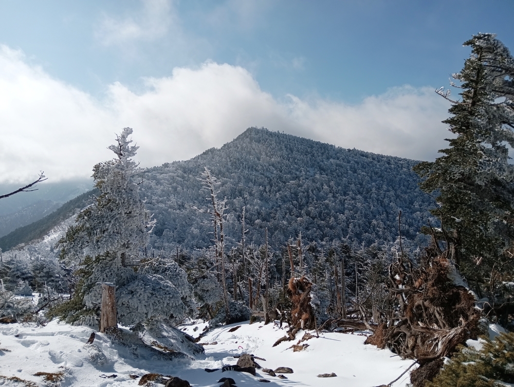 雪が積もった八経ヶ岳