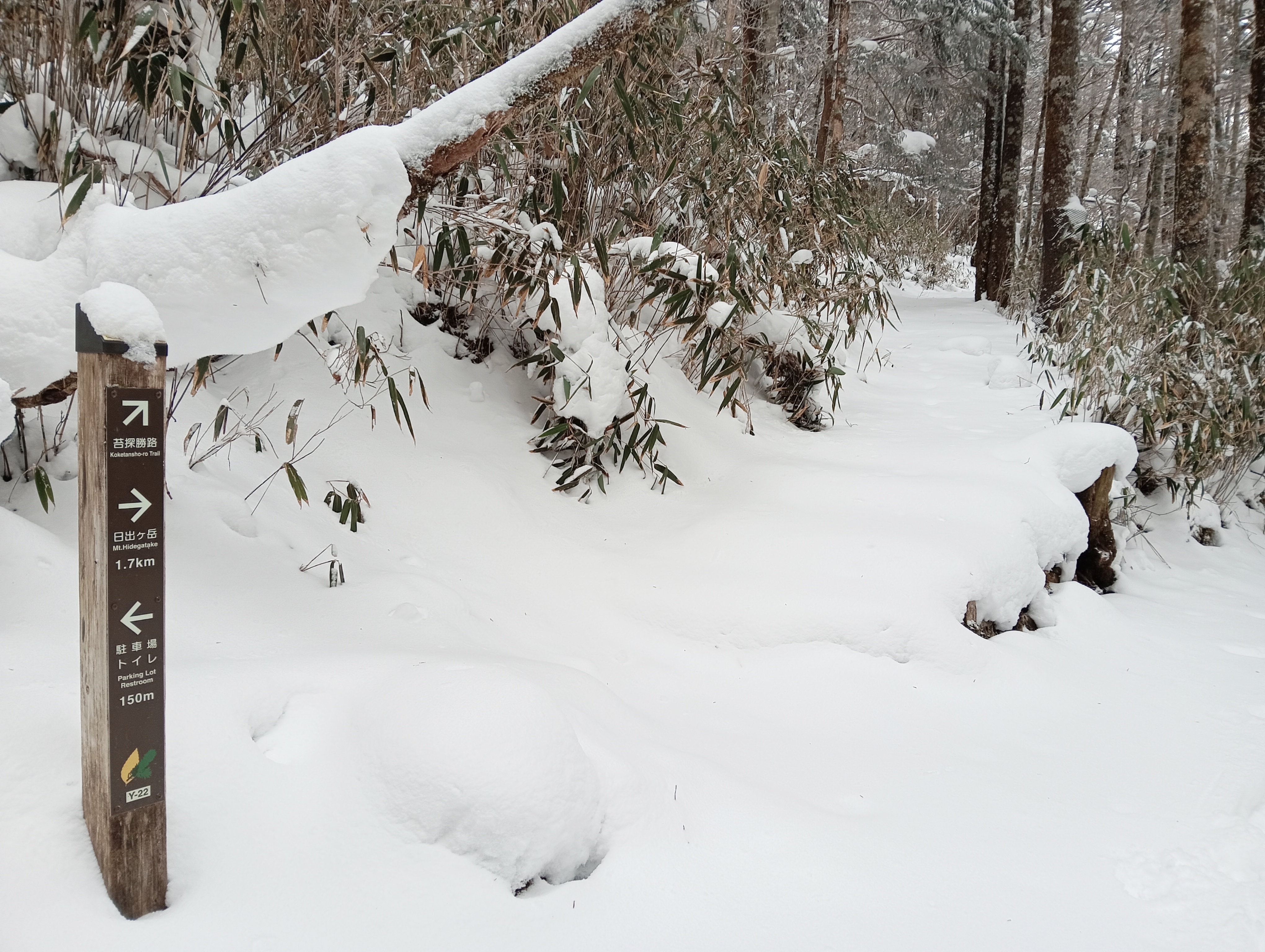 雪が積もった苔道入口