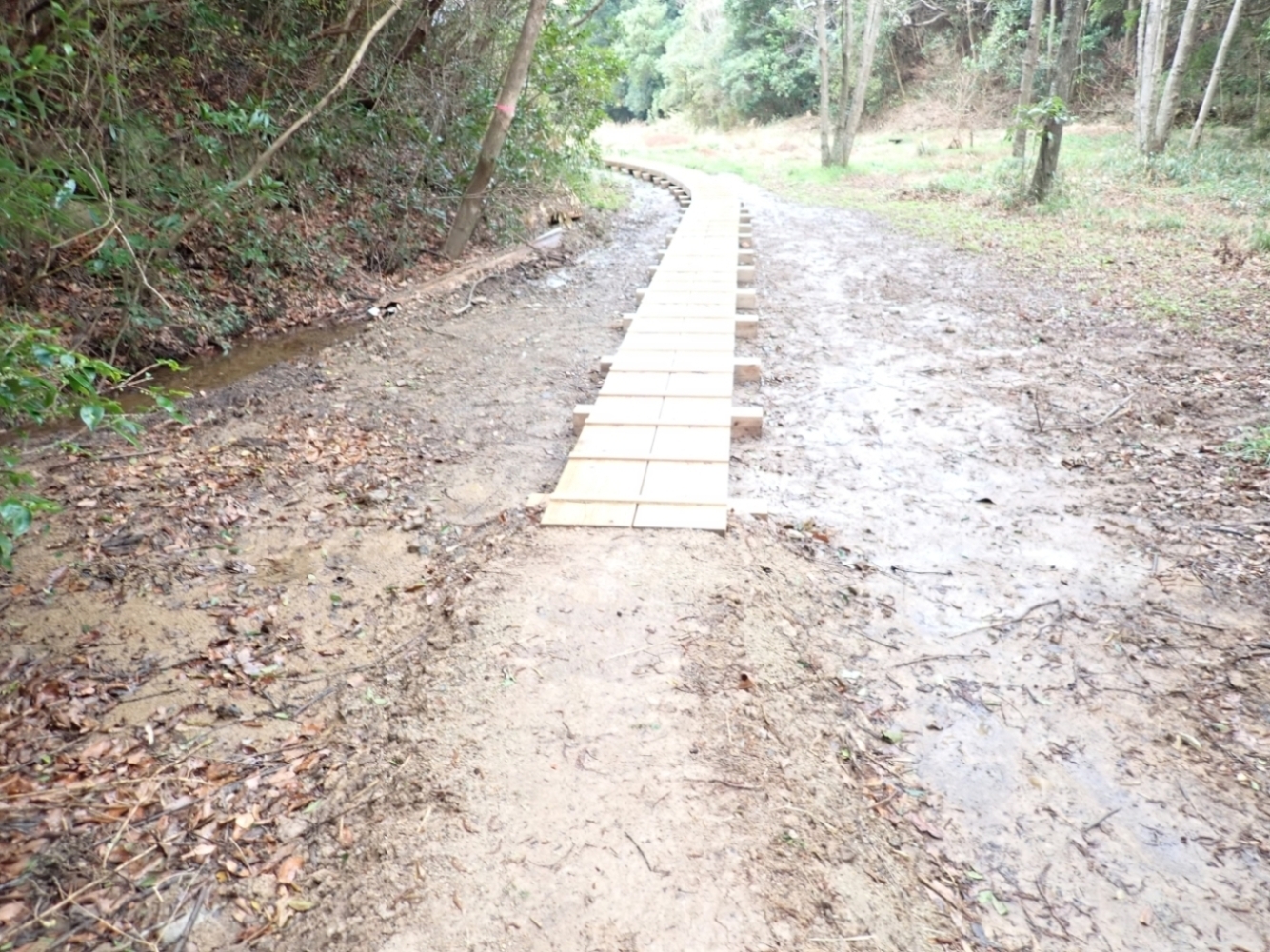 天神崎園地整備