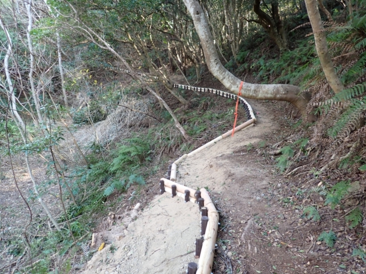 天神崎園地整備