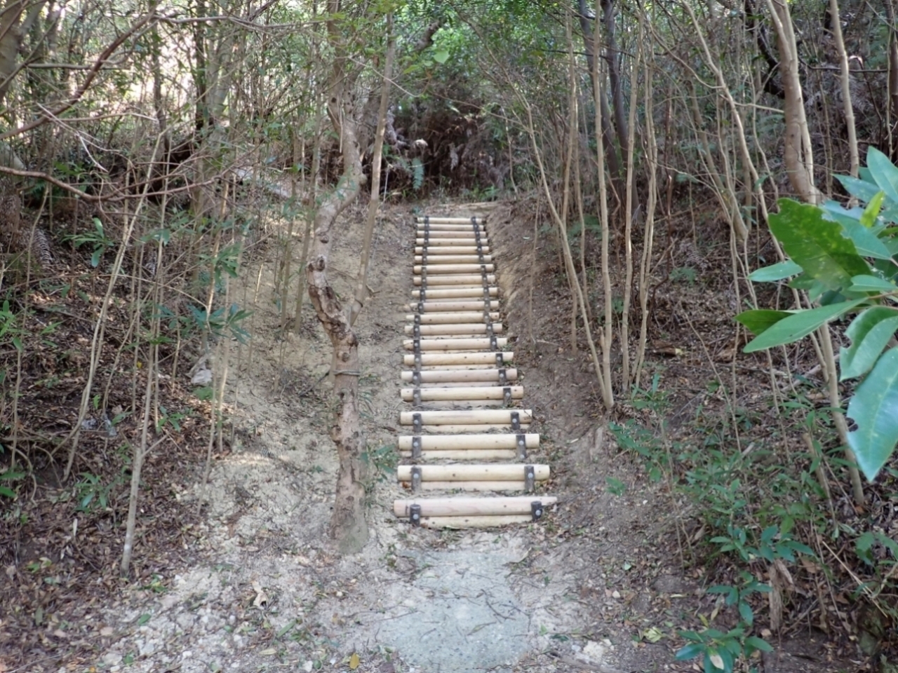 天神崎園地整備