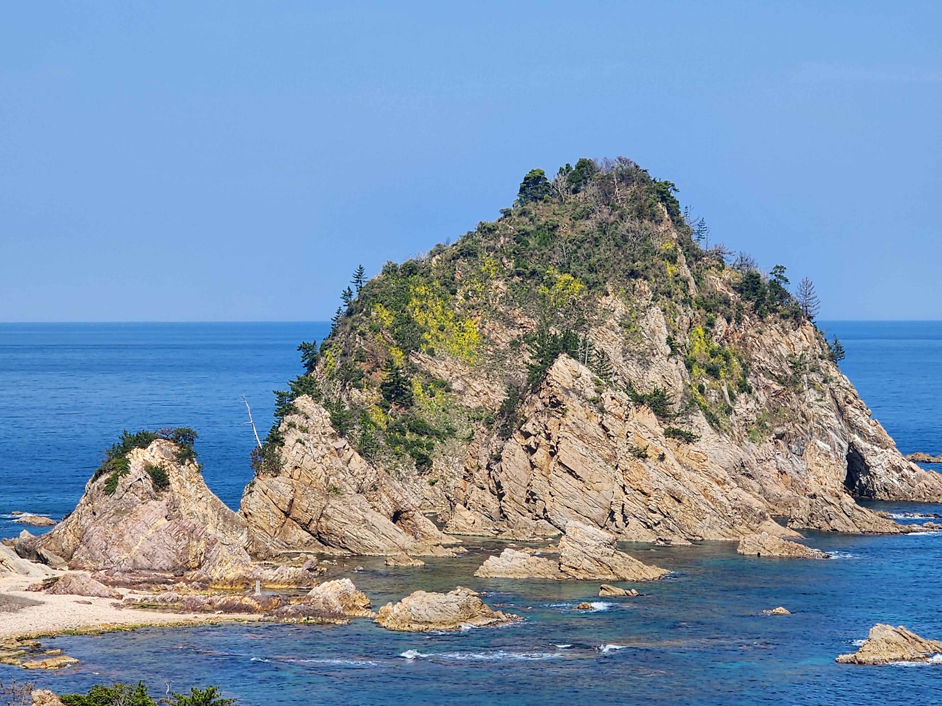菜の花が咲く菜種島