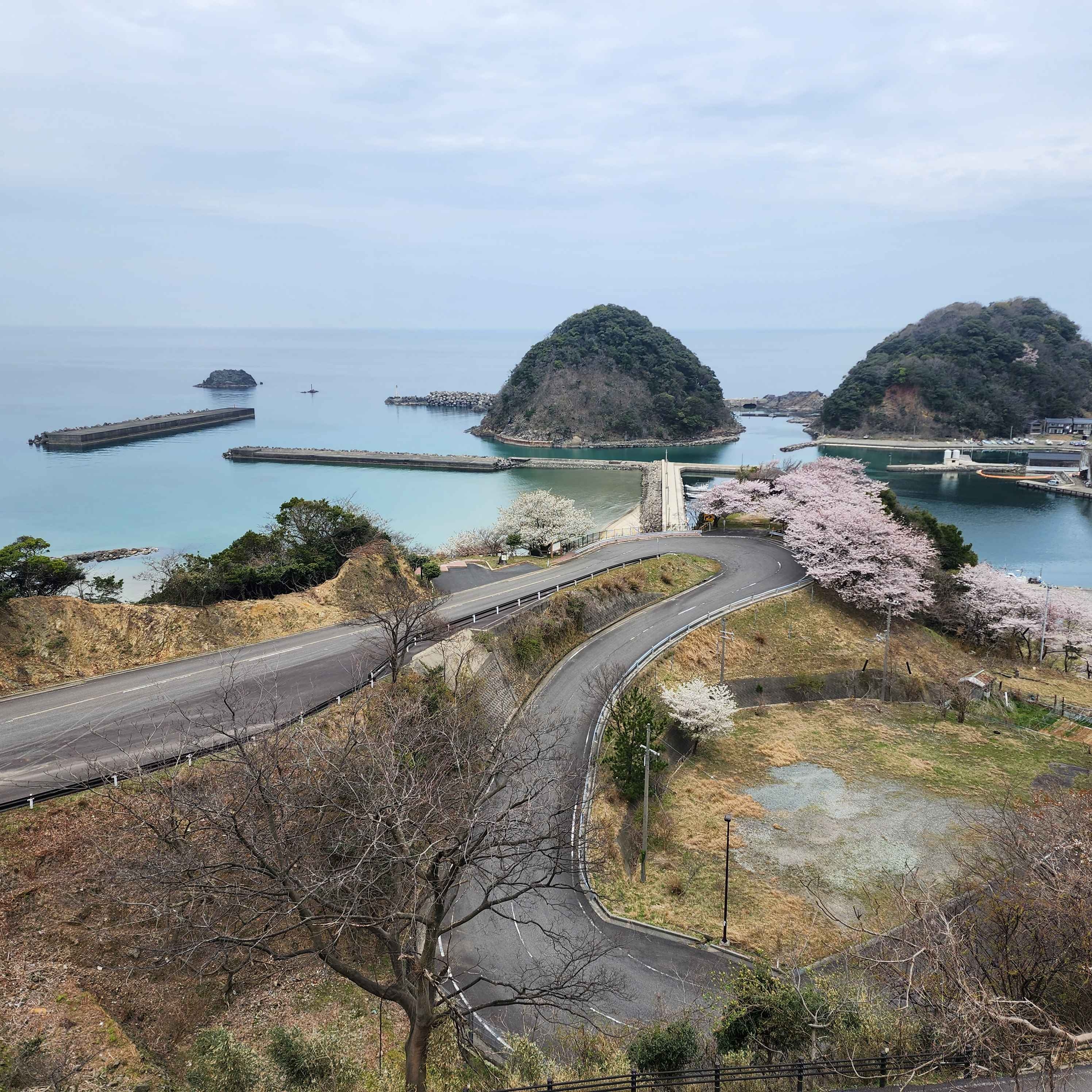 七坂八峠展望所から居組港を望む