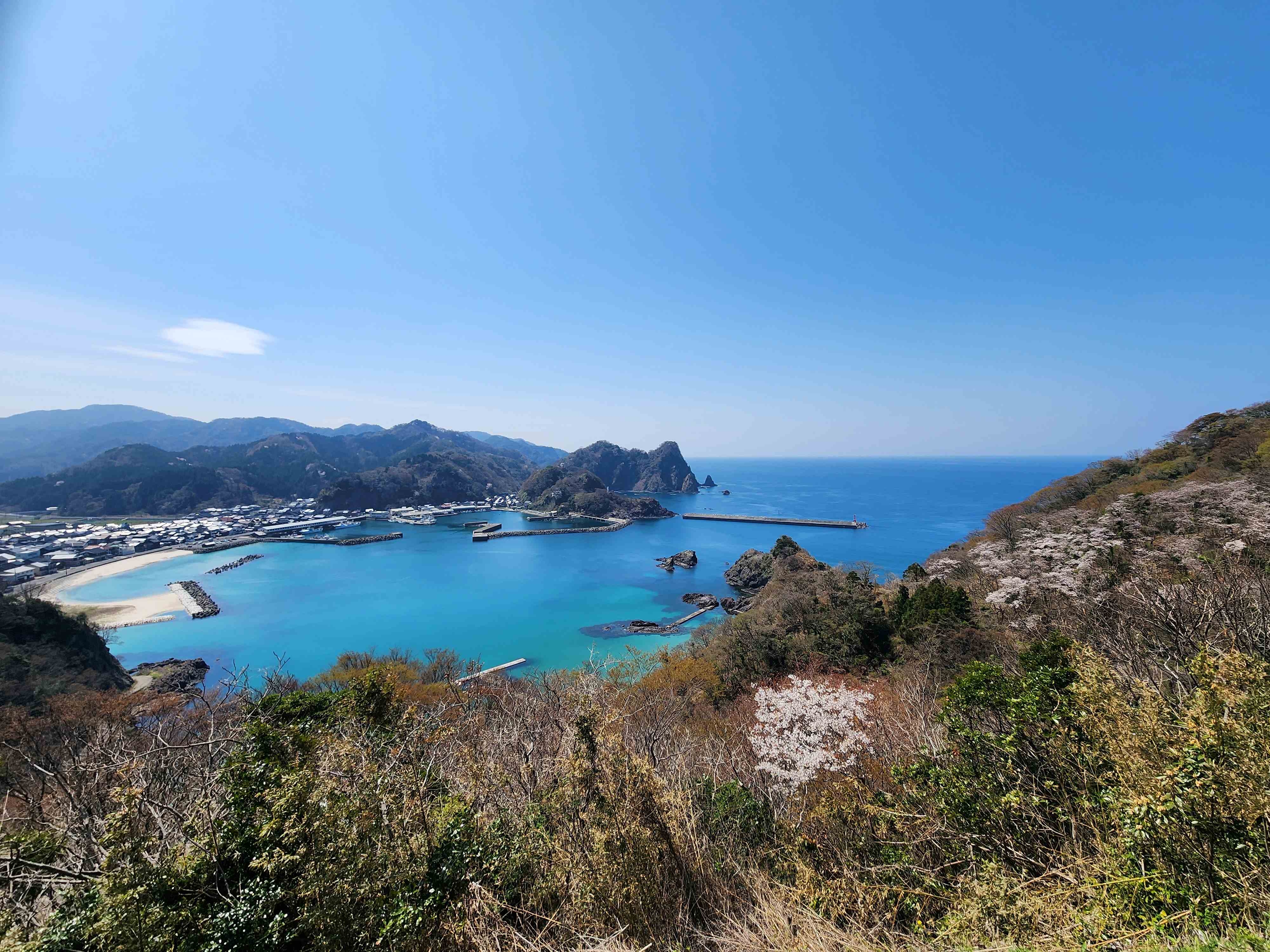 城山展望台から見える諸寄港