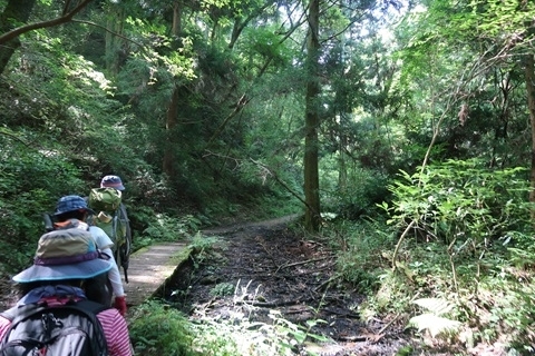 六甲山に登る様子