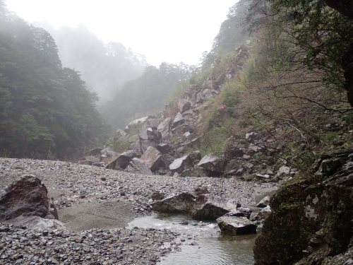 豪雨災害で発生した崩壊地