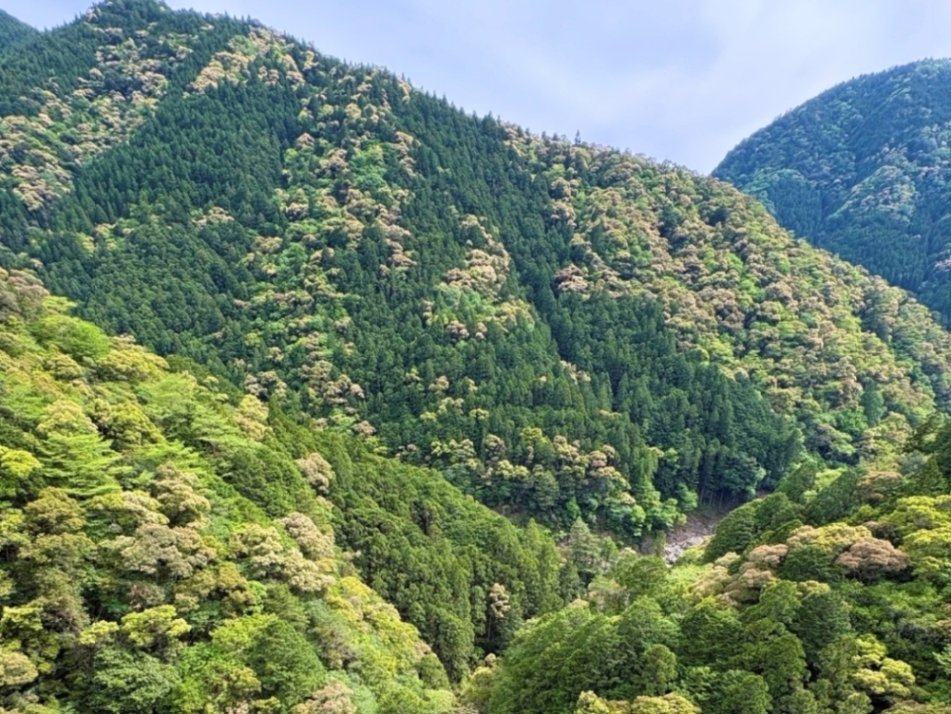 春の山
