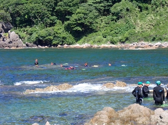 グループごとに海に泳ぎだす