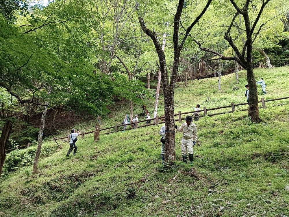巡視中の様子