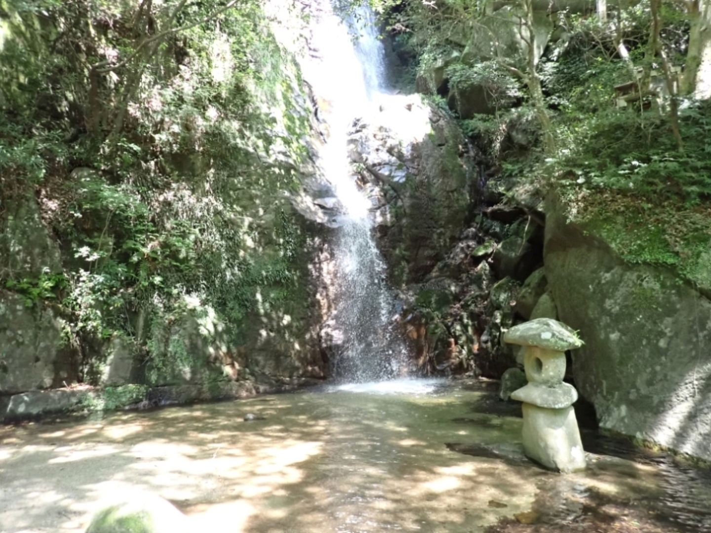 涼やかな滝