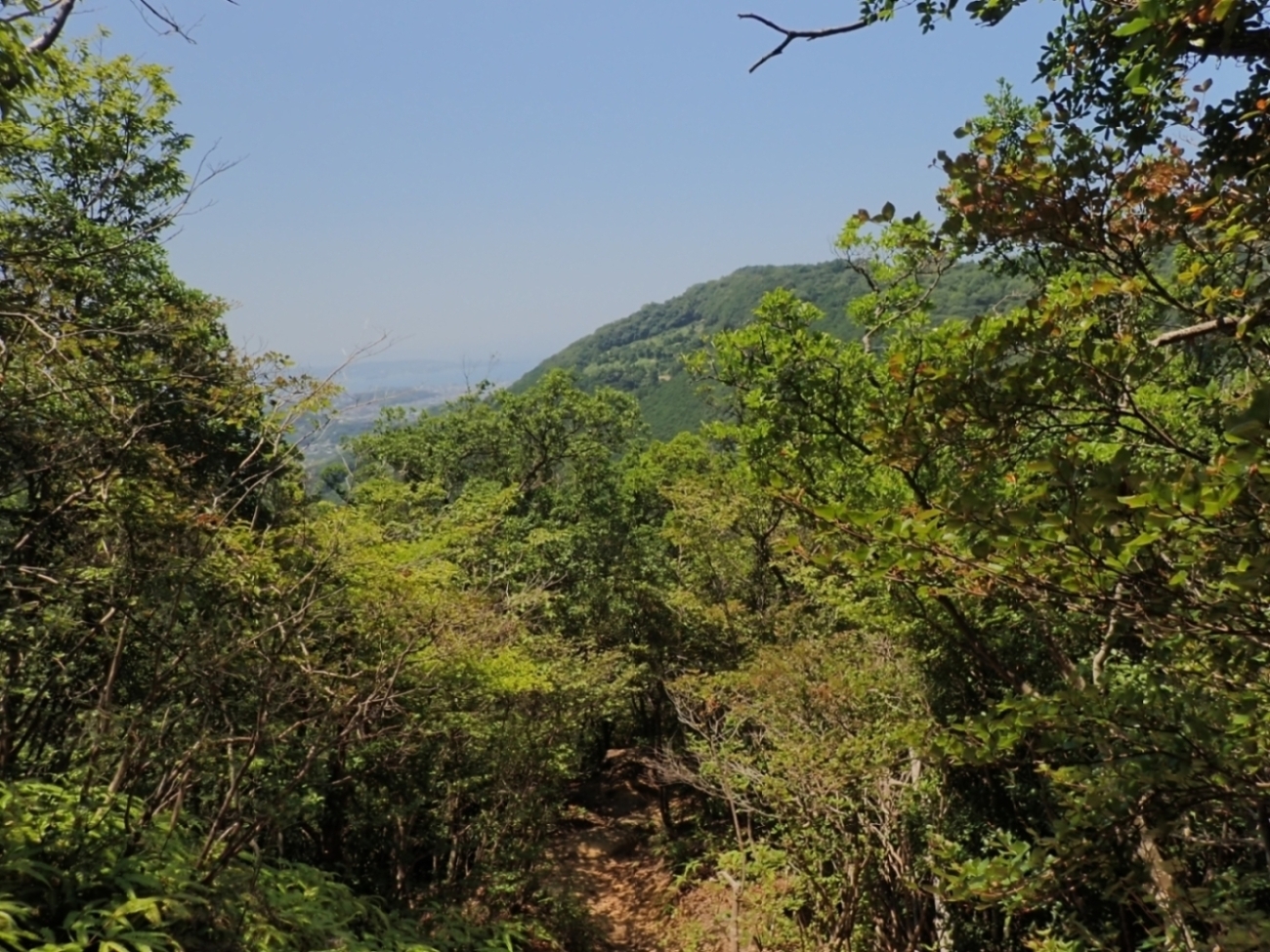 田辺湾を遠くに望む山からの景色
