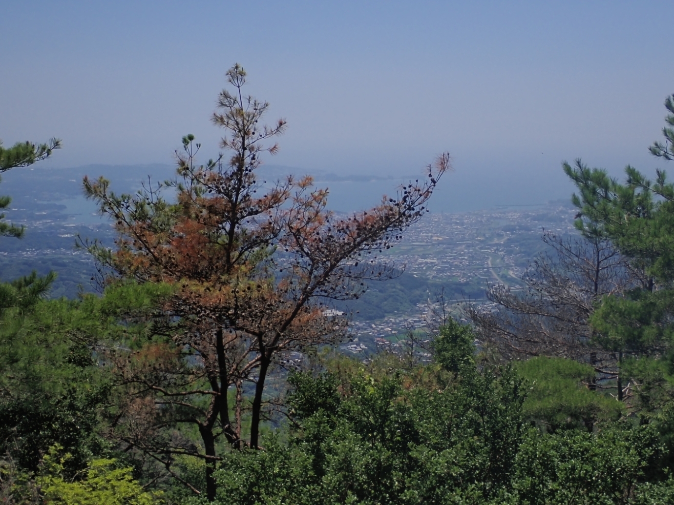 高尾山山頂からの景色