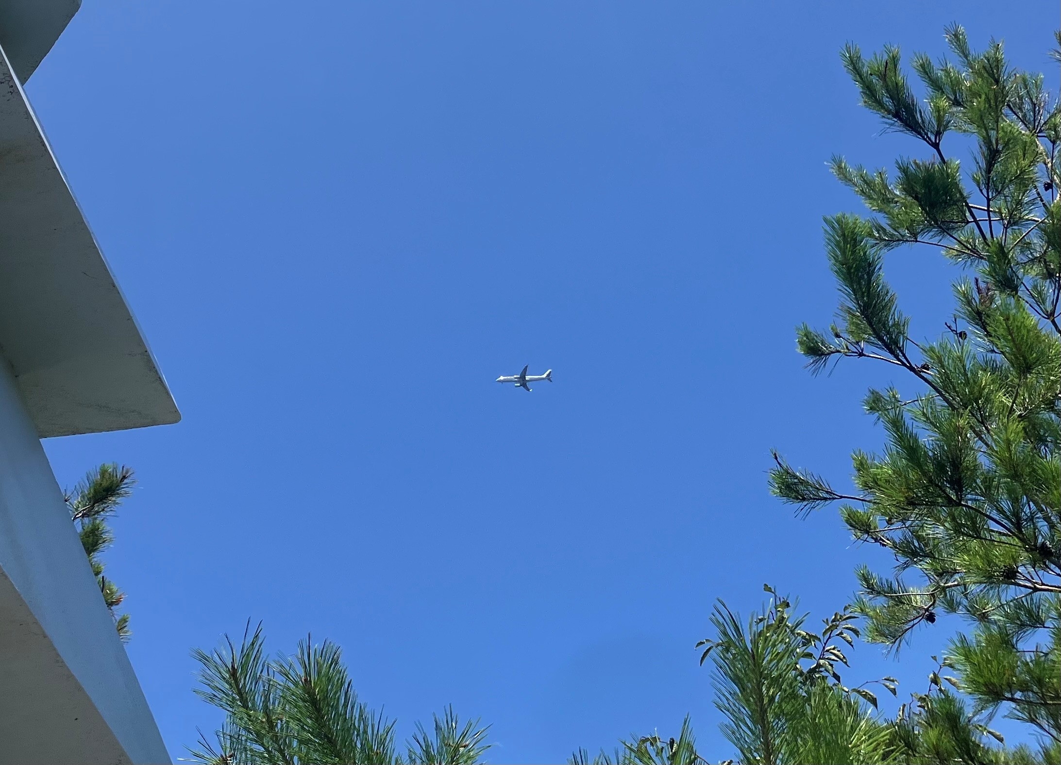 高尾山山頂上空の飛行機
