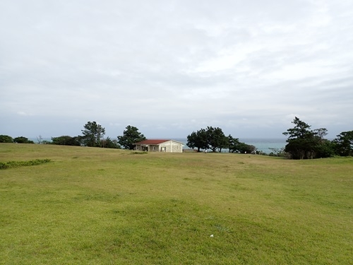 潮岬の望楼の芝