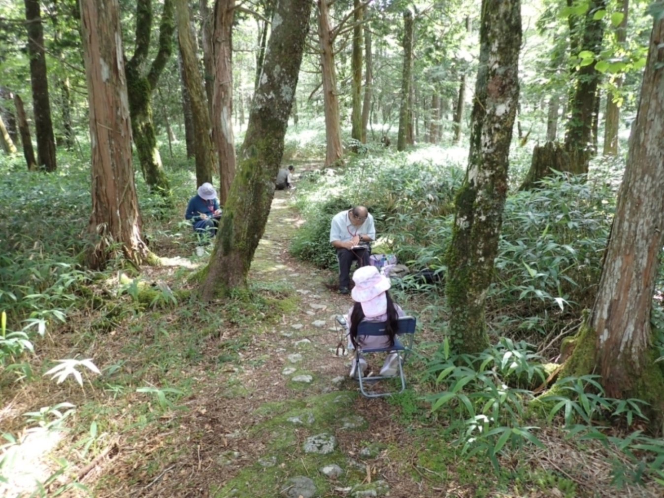 苔探勝路