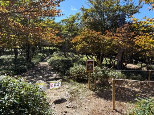仮歩道の出入口