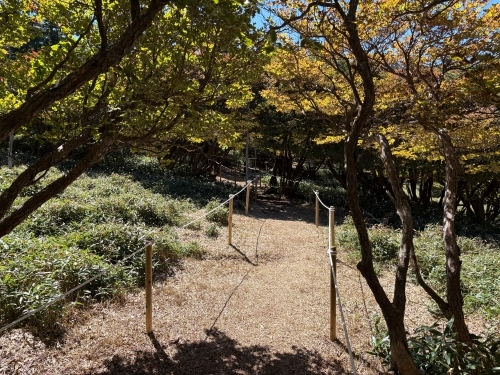 仮歩道の様子１