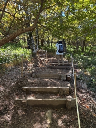 仮歩道の様子２