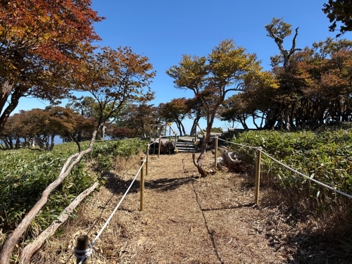 仮歩道の様子４