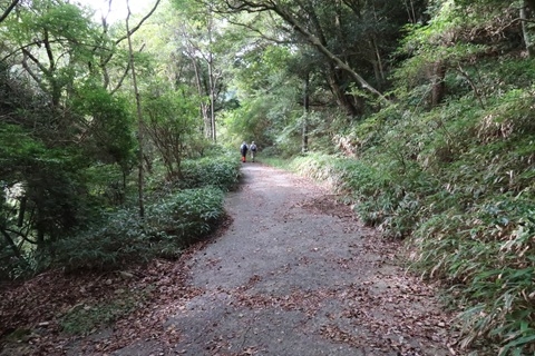 林道を歩く登山客の様子
