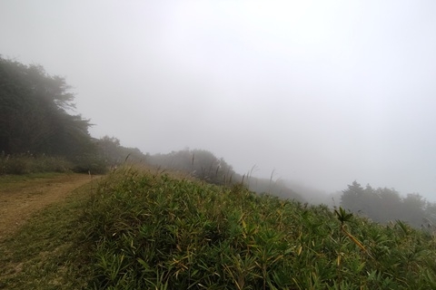 下見時の霧が濃い草原の様子