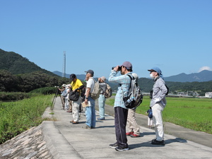 市木川河口で野鳥観察をする参加者の様子（2019年10月6日）