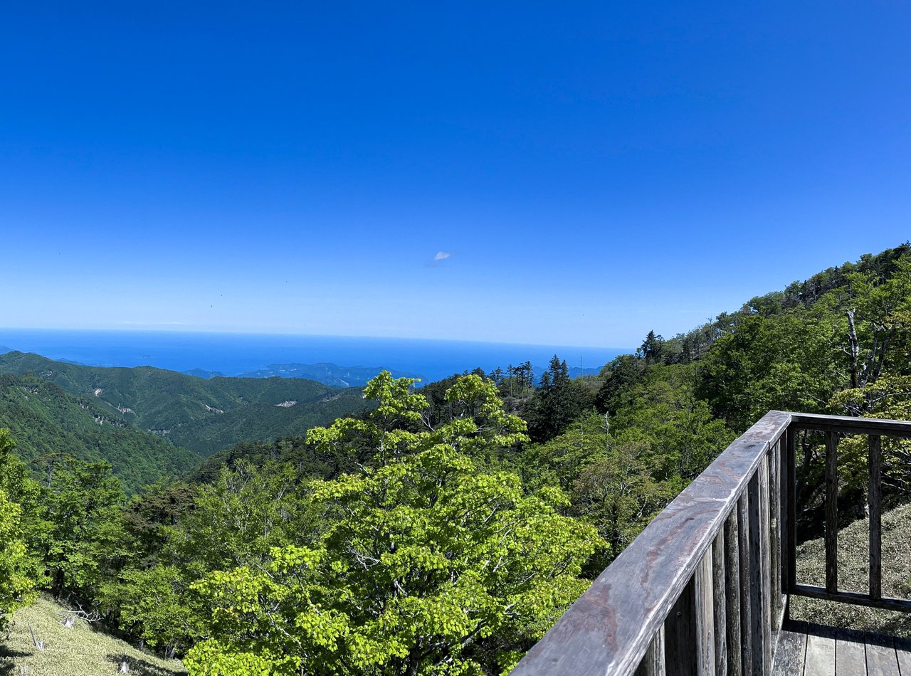 東大台展望台からの風景。尾鷲湾が見える。