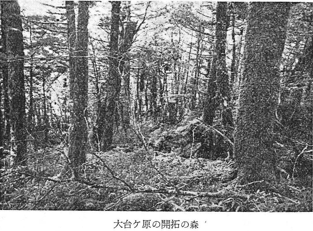 大台ヶ原開拓の森の写真