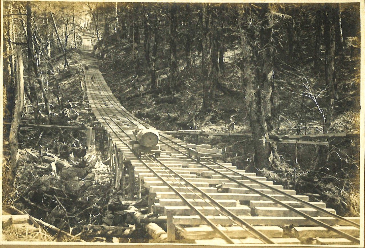 伐採した材をトロッコで引き上げている写真