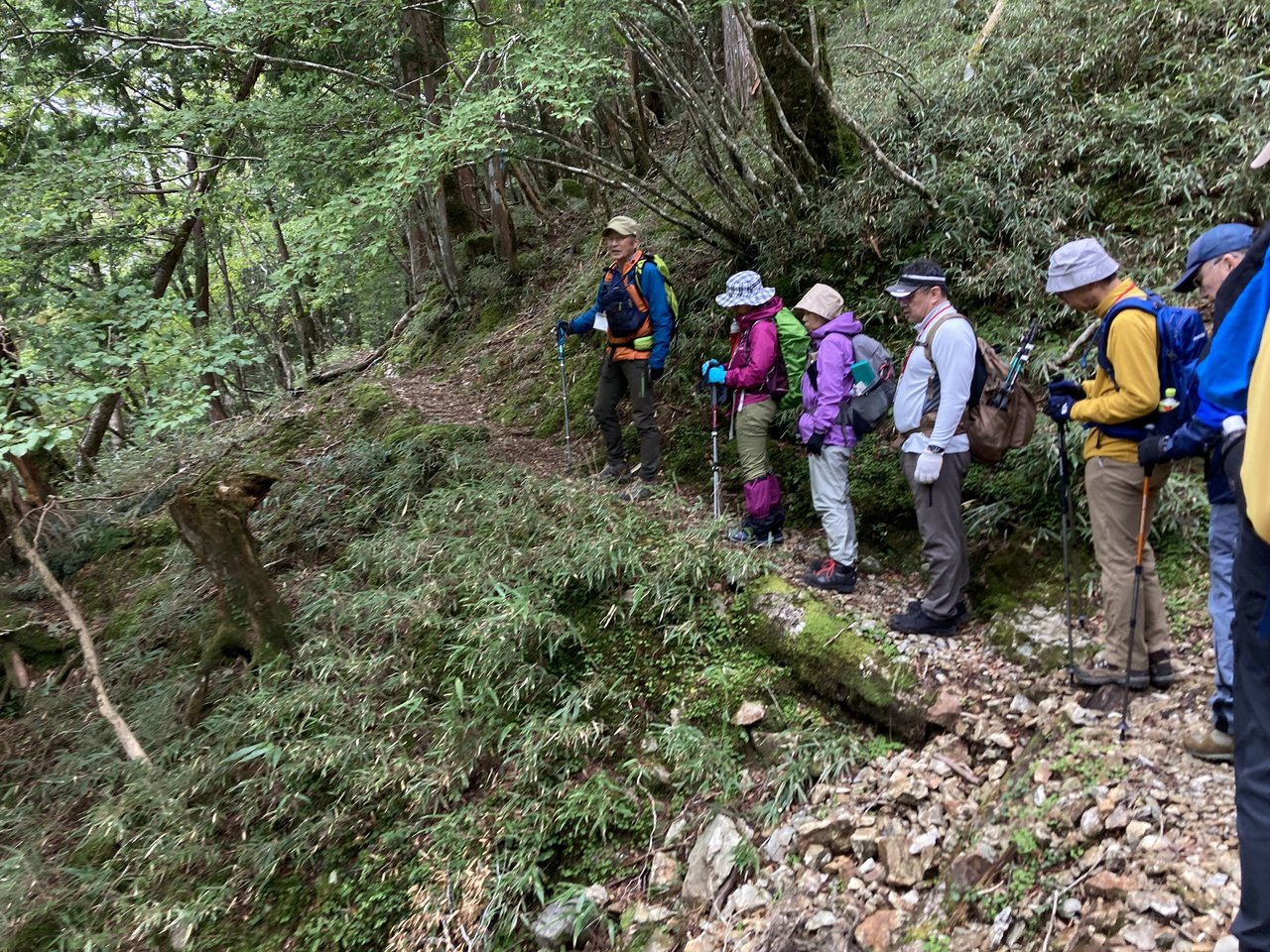 西大台の登録ガイドによるツアーの様子